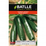 Calabacin beauté noire