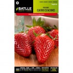 Fresones quatre saisons